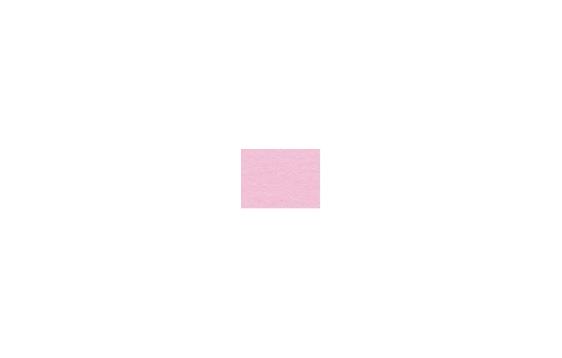 245536   Reklamekartong URSUS 50x70 300g Rosa 